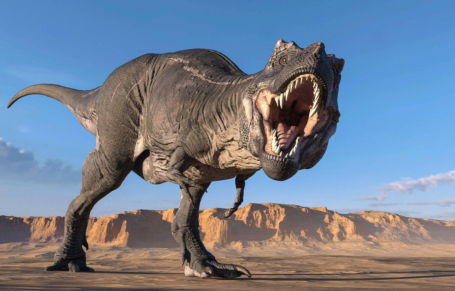 Fakta Unik Tentang Tyrannosaurus Rex