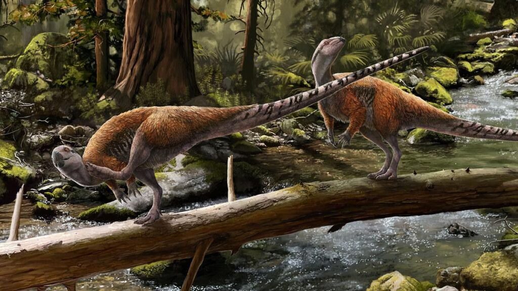 Dinosaurus Berbulu, Penemuan Terbaru Mengubah Pandangan