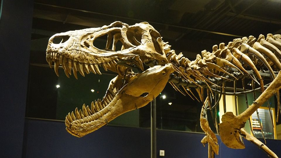 Jejak Dinosaurus, Kehadiran Megah dalam Era Mesozoikum
