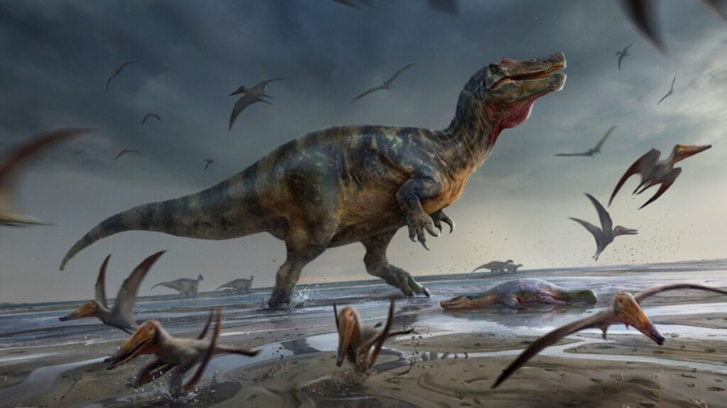 Mengenal Dua Pengelempokan Utama Dinosaurus 