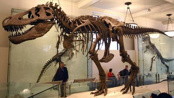 Rahasia Dunia Prasejarah Melalui Penelitian Dinosaurus